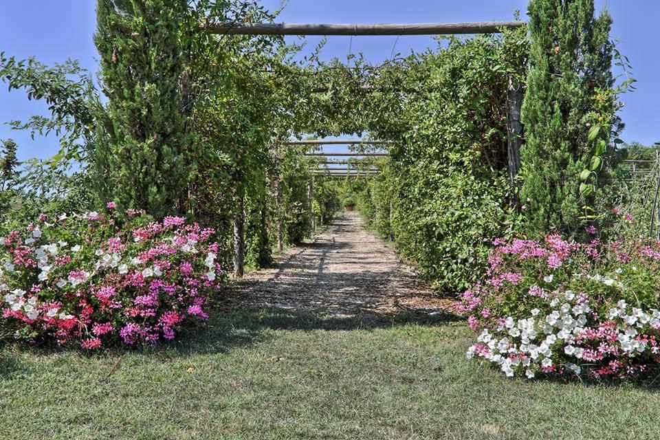 Taverna Di Bibbiano Colle Val D'Elsa Εξωτερικό φωτογραφία